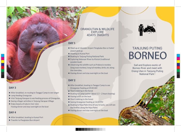 Imaginative Web and Graphic Creations